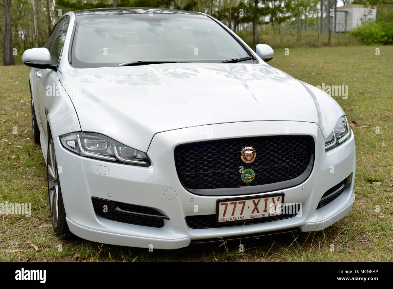 Vintage Car show with Jaguars, Herveys Range Heritage Tea Rooms