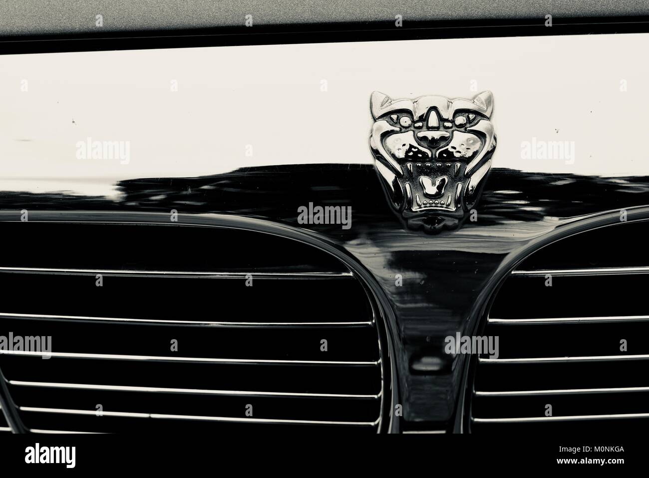 Vintage Car show with Jaguars, Herveys Range Heritage Tea Rooms