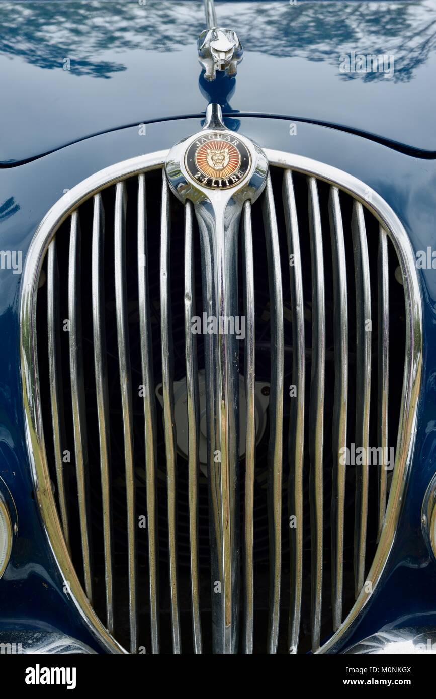 Vintage Car show with Jaguars, Herveys Range Heritage Tea Rooms