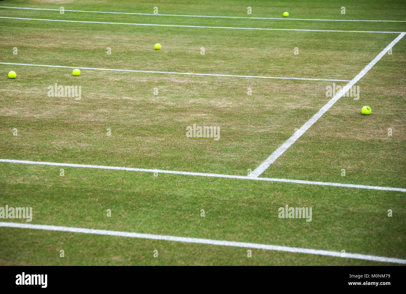 Tennis balls on grass court Wimbledon London UK Stock Photo