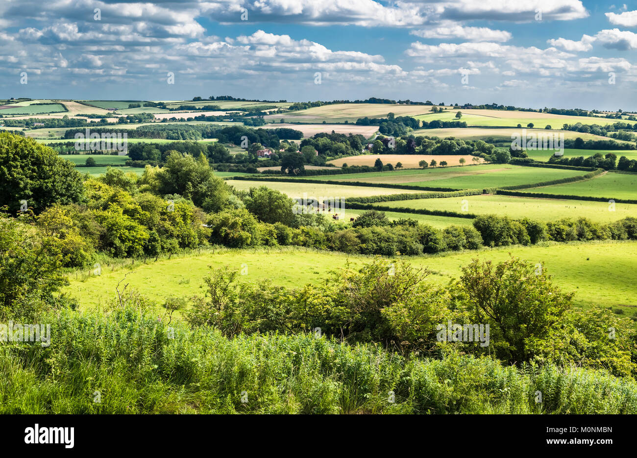 A summer afternoon at Red Hill on the Lincolnshire Wolds, the rolling