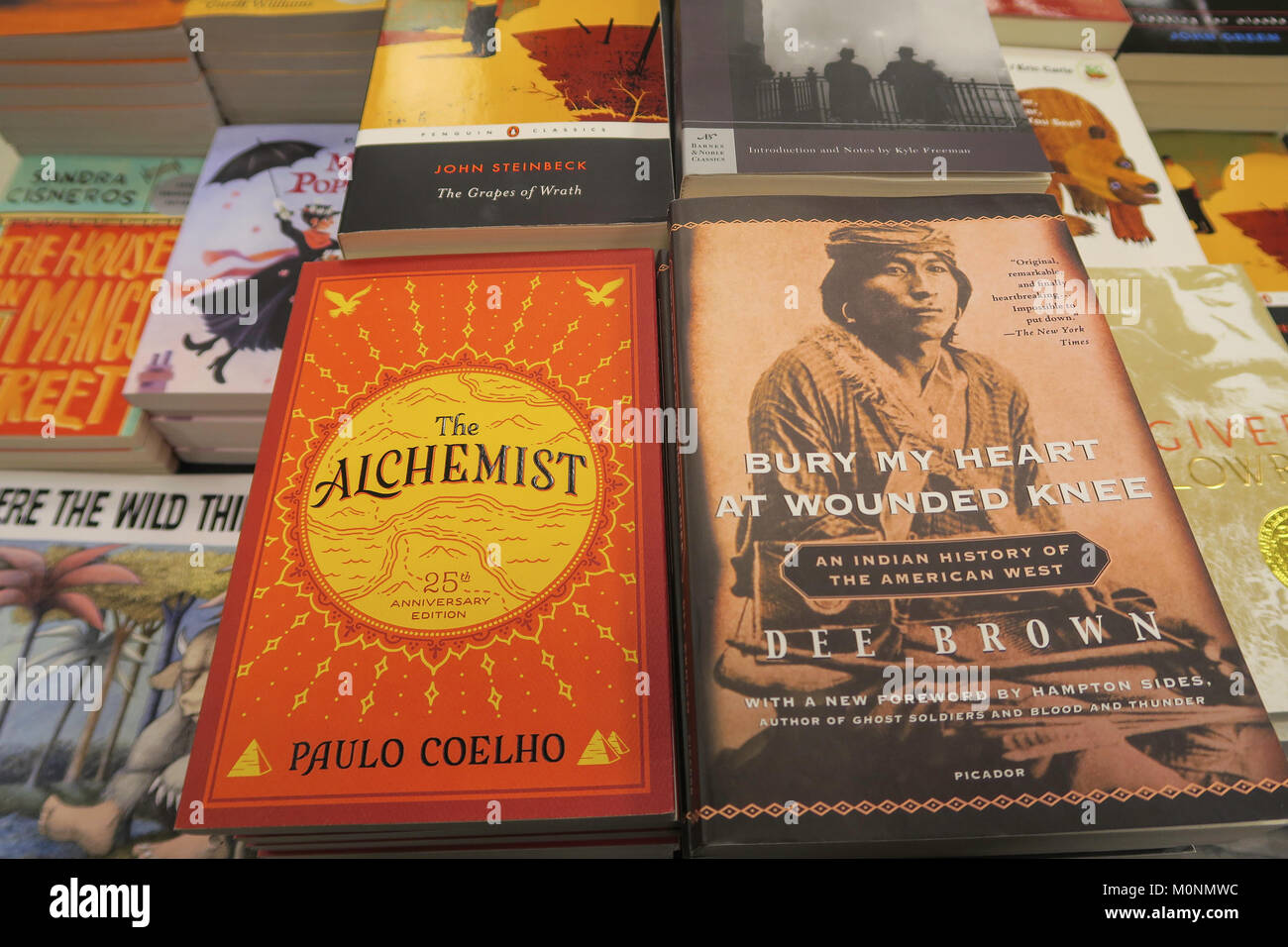 The Alchemist Full Cover Page