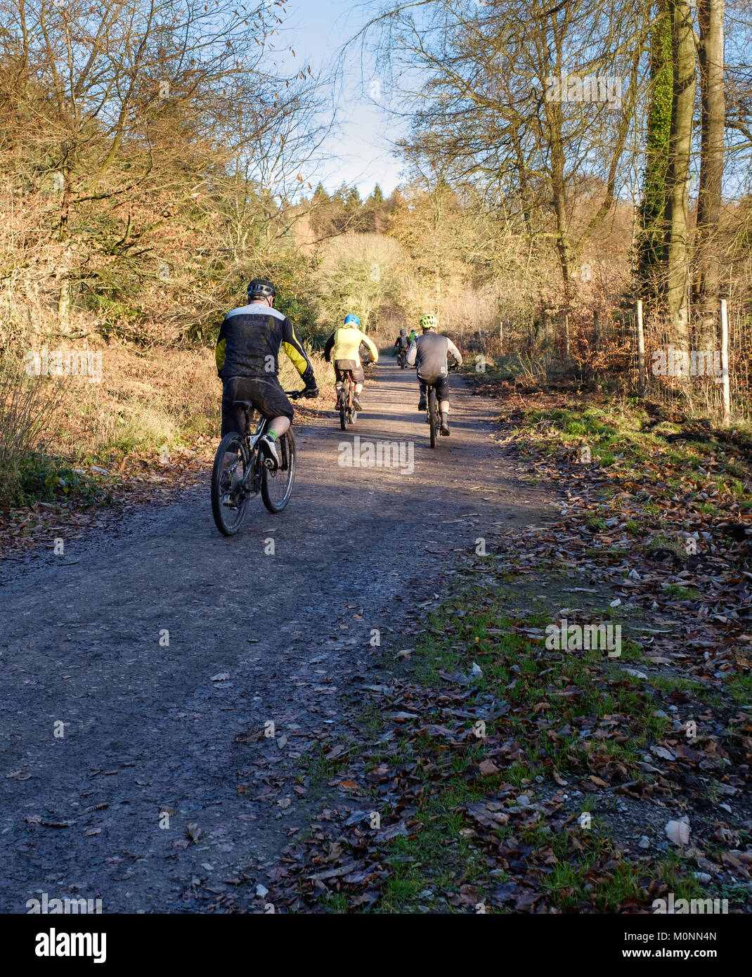 MOUNTAIN BIKING IN FOREST OF DEAN, Gloucestershire, England UK Stock Photo