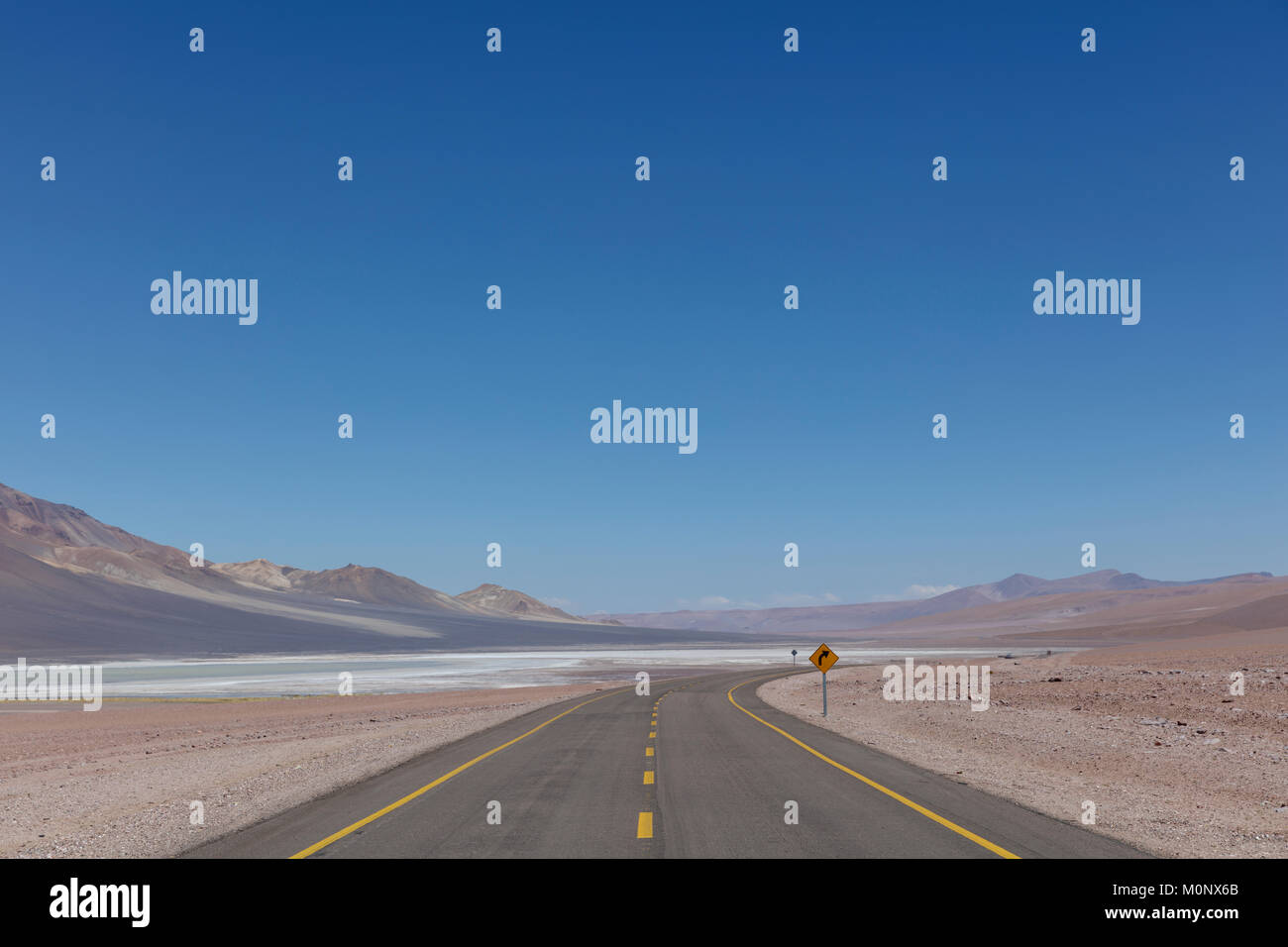 Road leads through Altiplano,San Pedro de Atacama,Antofagasta region,Chile Stock Photo