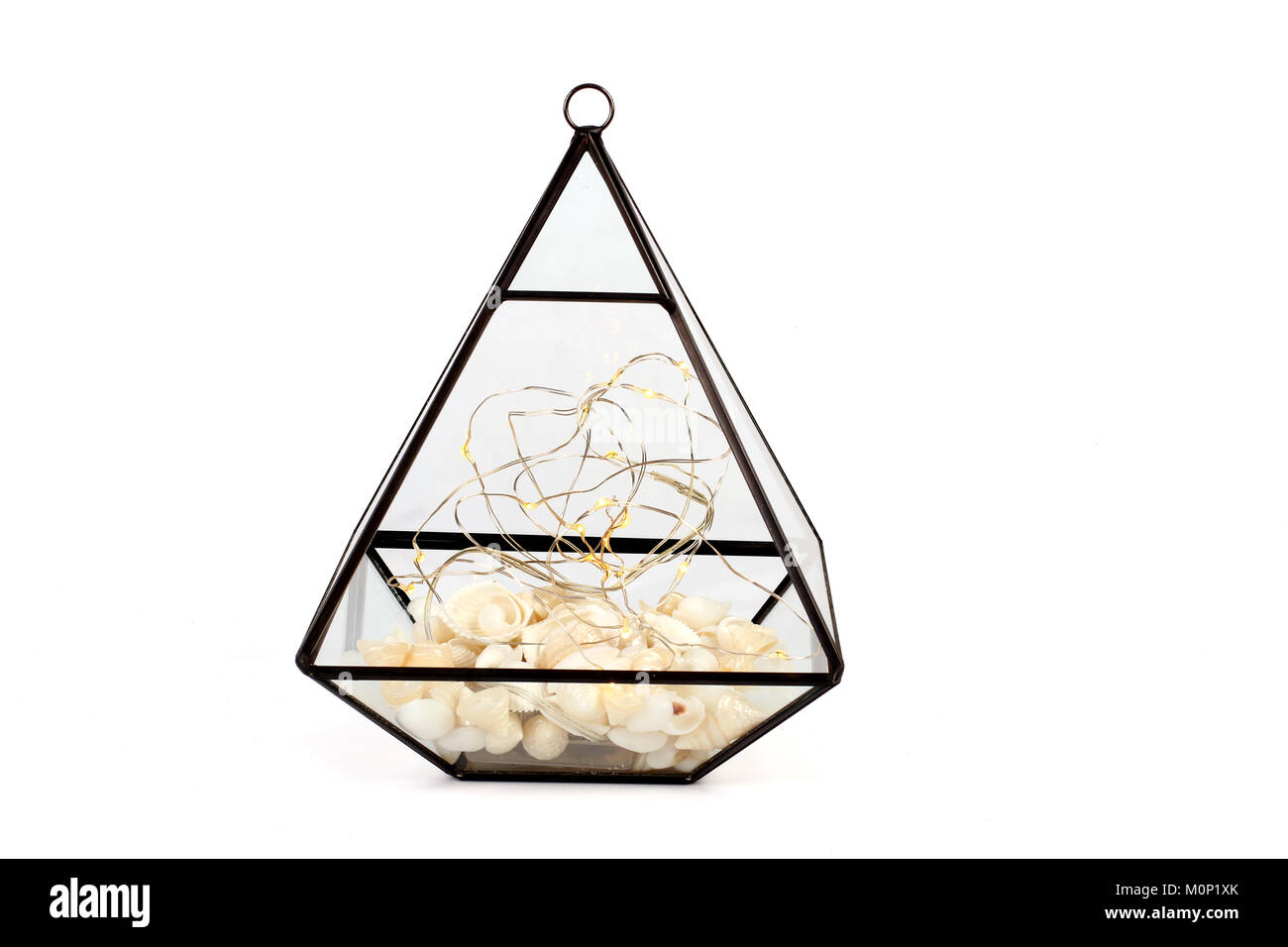 Plant holder hires stock photography and images Alamy