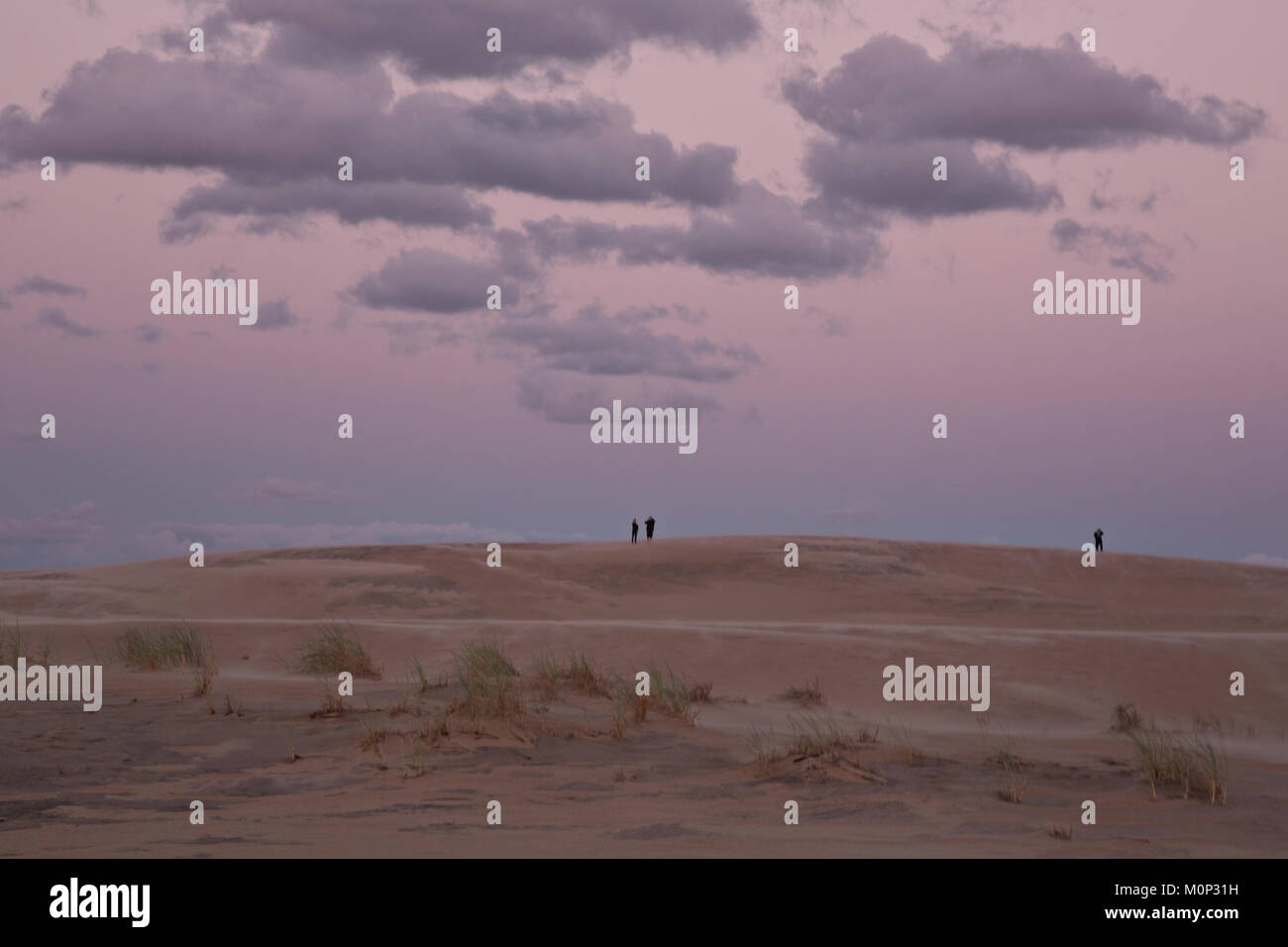 NC01391-00...NORTH CAROLINA - Dusk on a very windy evening at the sand dunes of Jockey's Ridge State Park on the Outer Banks at Nags Head. Stock Photo