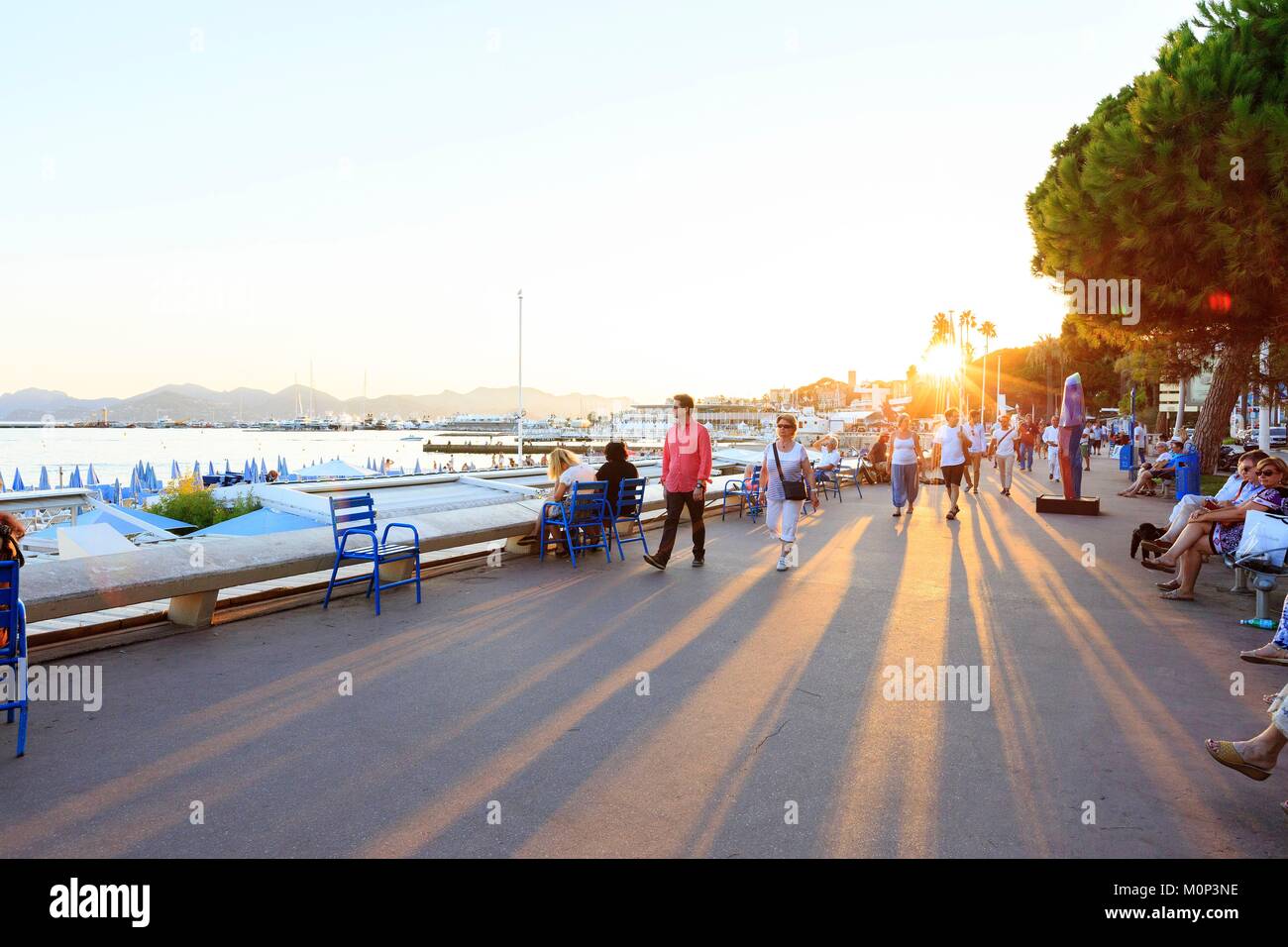 France,Alpes Maritimes,Cannes,boulevard de La Croisette Stock Photo