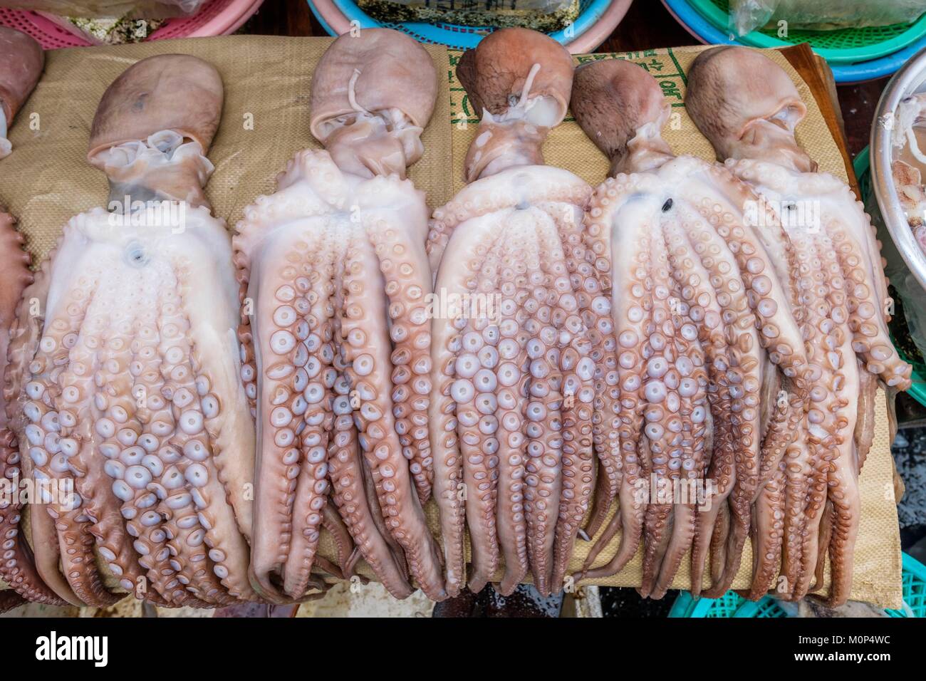 South Korea South Gyeongsang Province Busan Jung Gu District Fish And Stock Photo Alamy