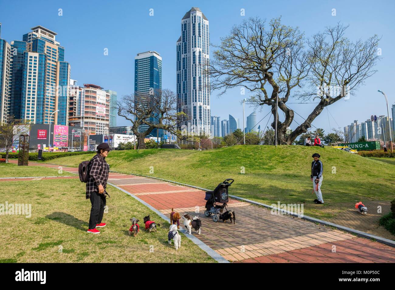 South Korea,South Gyeongsang province,Busan,Haeundae district,Centum City area,APEC Naru Park Stock Photo
