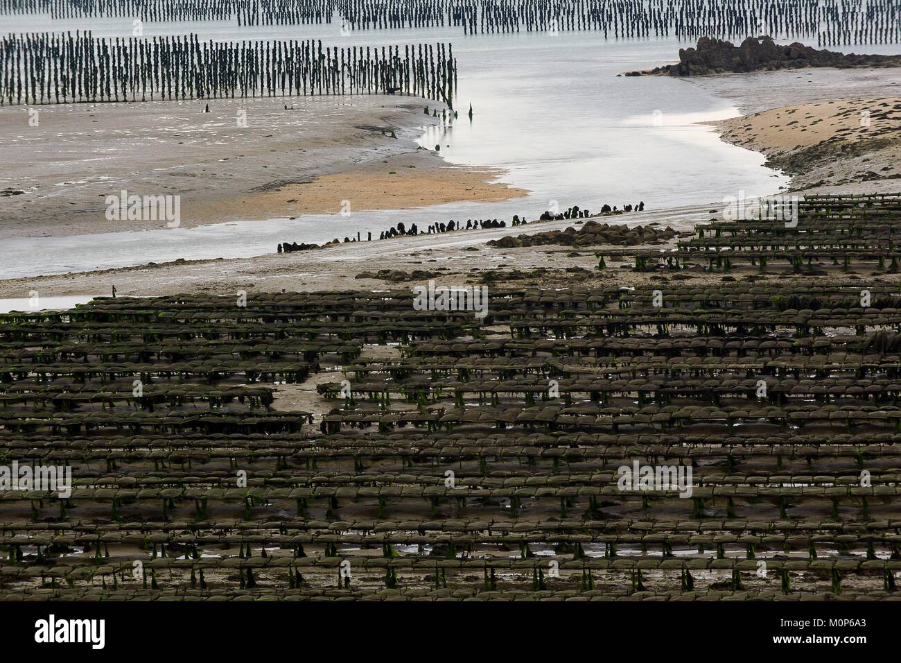 France,Cotes d'Armor,Saint Jacut de la Mer,general view of oyster farms at low tide Stock Photo