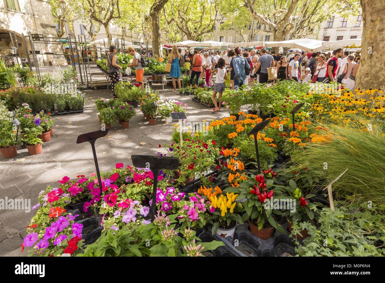 France,Gard,Pays d'Uzege,Uzes,market day on the Place aux Herbes Stock