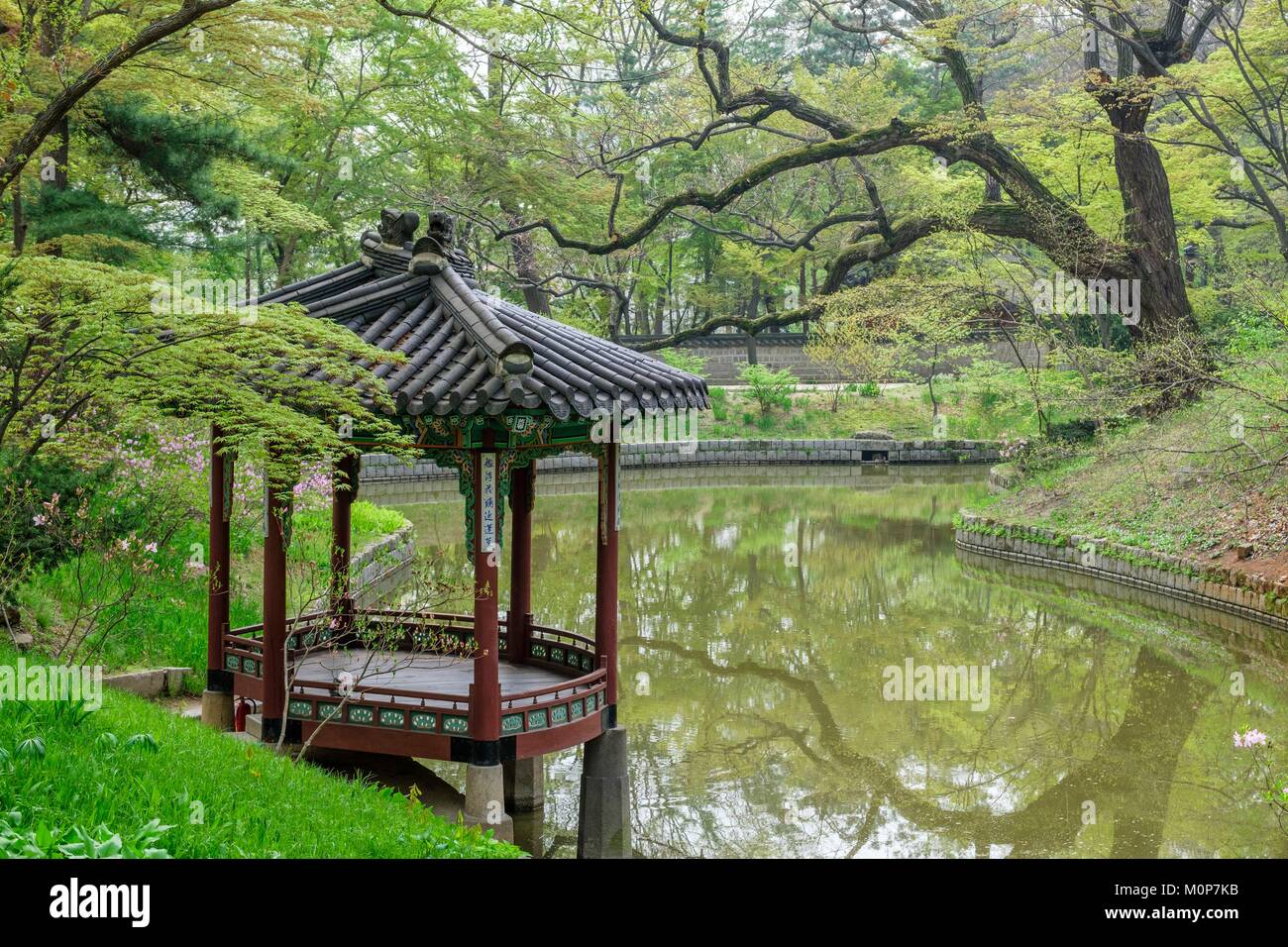 South Korea,Seoul,Jongno-gu district,Changdeokgung palace or Prospering Virtue Palace built in the 15th century during the Joseon Dynasty,Huwon garden or secret garden (UNESCO World Heritage site) Stock Photo