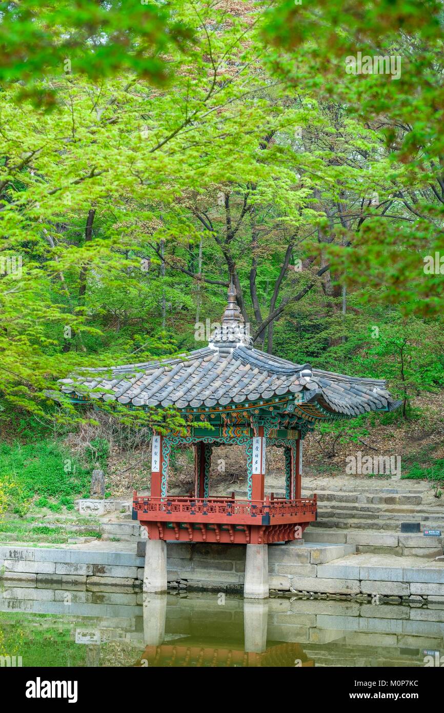 South Korea,Seoul,Jongno-gu district,Changdeokgung palace or Prospering Virtue Palace built in the 15th century during the Joseon Dynasty,Huwon garden or secret garden (UNESCO World Heritage site) Stock Photo