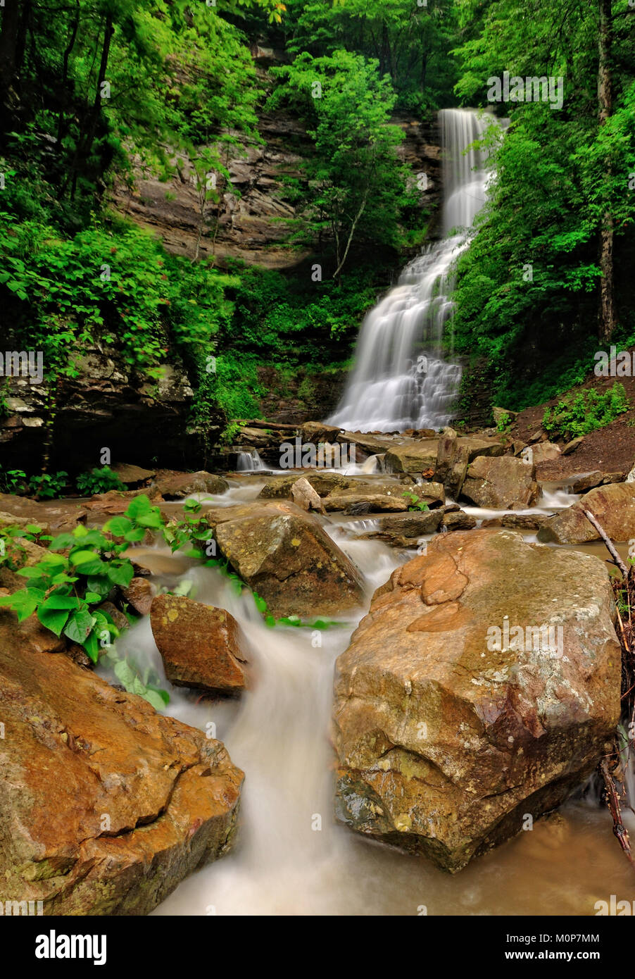 Cathedral Falls West Virginia Stock Photo