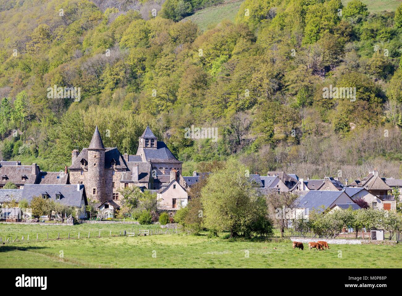 France,Aveyron,Sainte Eulalie d'Olt,certified the Most beautiful