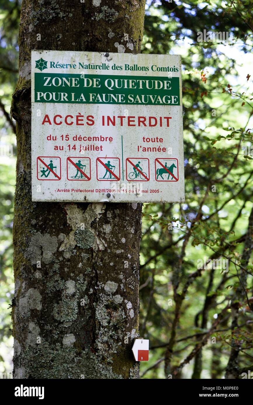 France,Haute Saone,Ballon d'Alsace,col du Stalon,forest,panel Wildlife