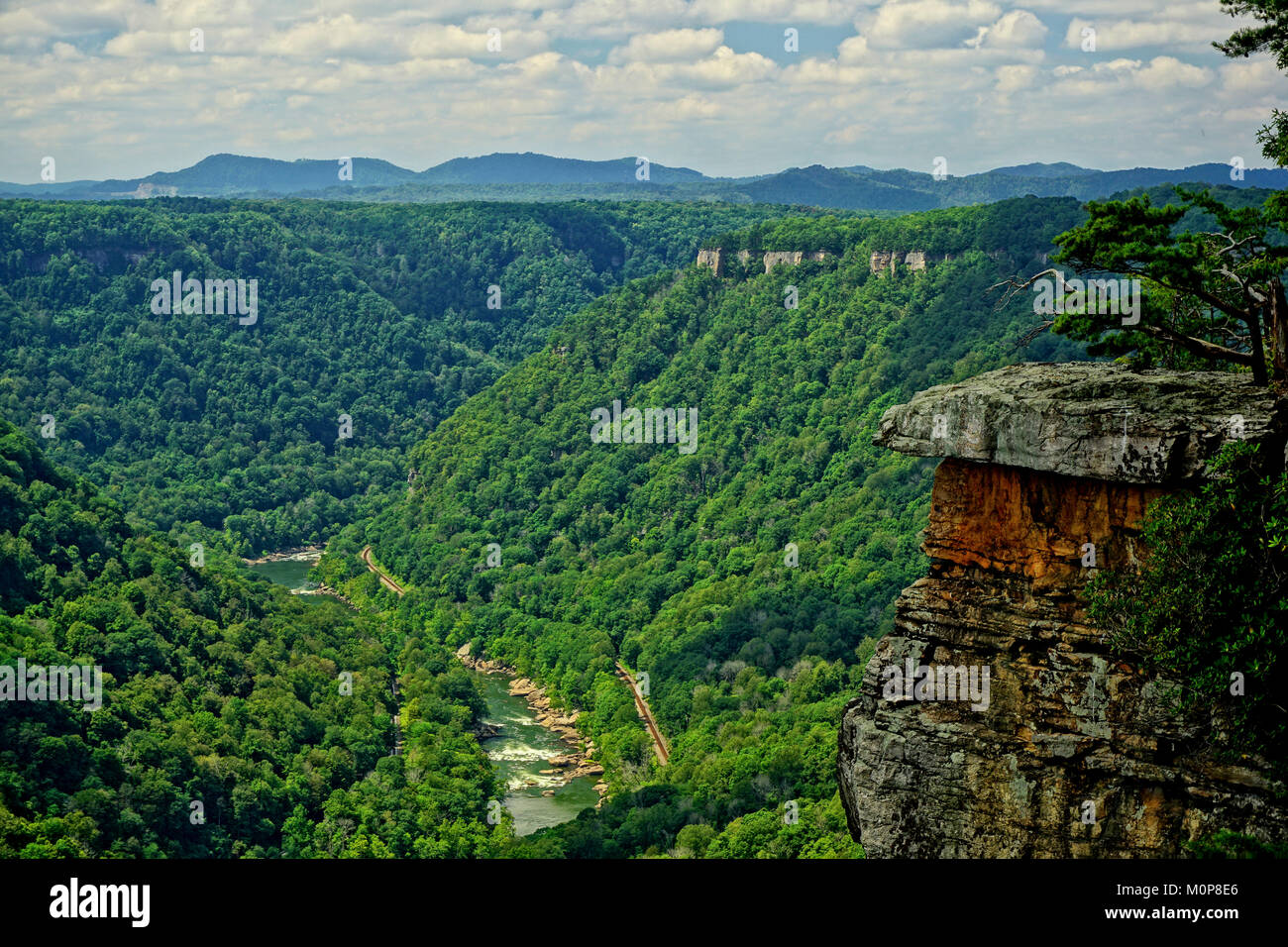 New River Gorge from Beauty Mountain West Virginia Stock Photo