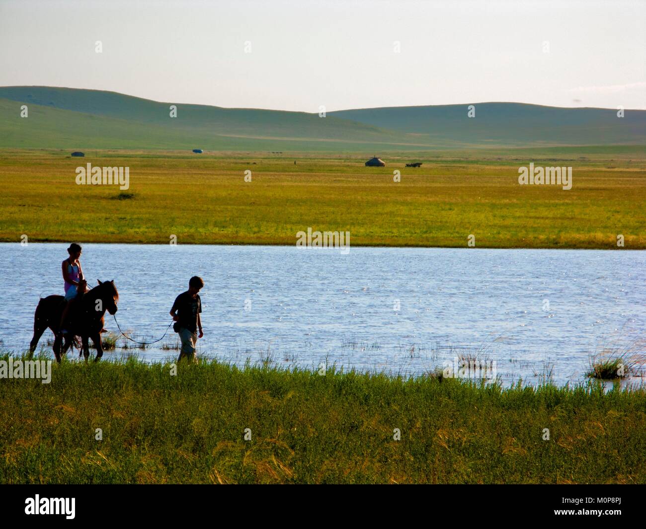 China,Inner Mongolia,20 kilometers west of the town of Ujimqin,central place for the Mongolian nomadic tribes,Mongolian horseback ride,a small but robust and domesticated animal,specific to the region Stock Photo