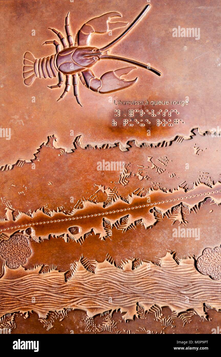 France,Caribbean,Lesser Antilles,Guadeloupe,Basse-Terre,Petit-Bourg,Guadeloupe National Park,On the path of Cascade aux Ecrevisses,handicapped accessible,embossed panels with captions in Braille exhibit remarkable species of the trail,here a red-legged crayfish (Astacus astacus) Stock Photo