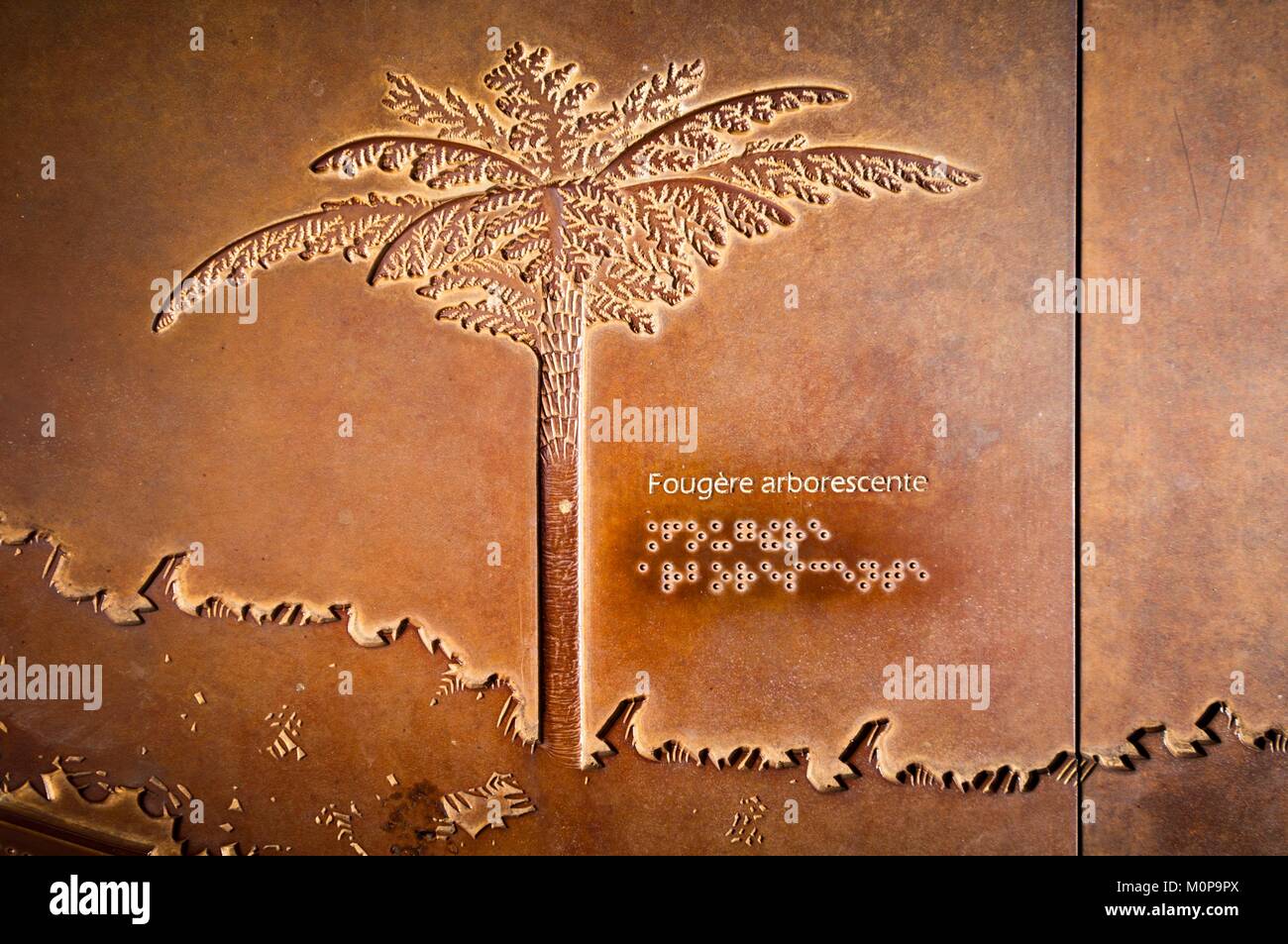 France,Caribbean,Lesser Antilles,Guadeloupe,Basse-Terre,Petit-Bourg,Guadeloupe National Park,On the path of Cascade aux Ecrevisses,handicapped accessible,embossed panels with captions in Braille exhibit remarkable species of the trail,here a fern arborescente Stock Photo
