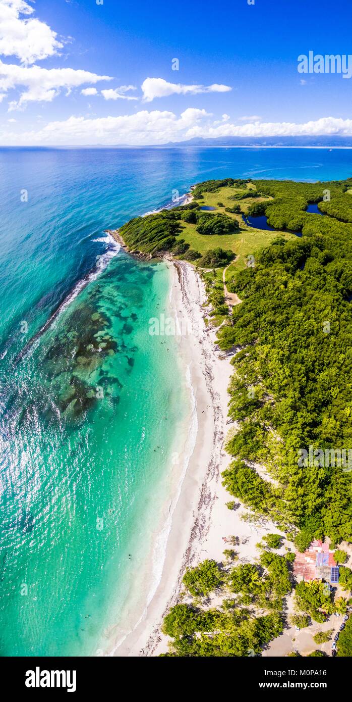 Caribbean Beach Guadeloupe Stock Photos Caribbean Beach