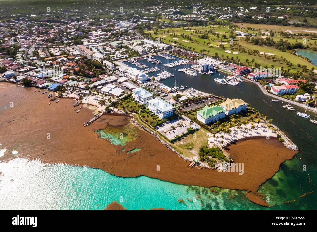 France,Caribbean,Lesser Antilles,Guadeloupe,Grande-Terre,Saint-François,Aerial view of the marina invaded by brown algae (Sargassum) (aerial view) Stock Photo