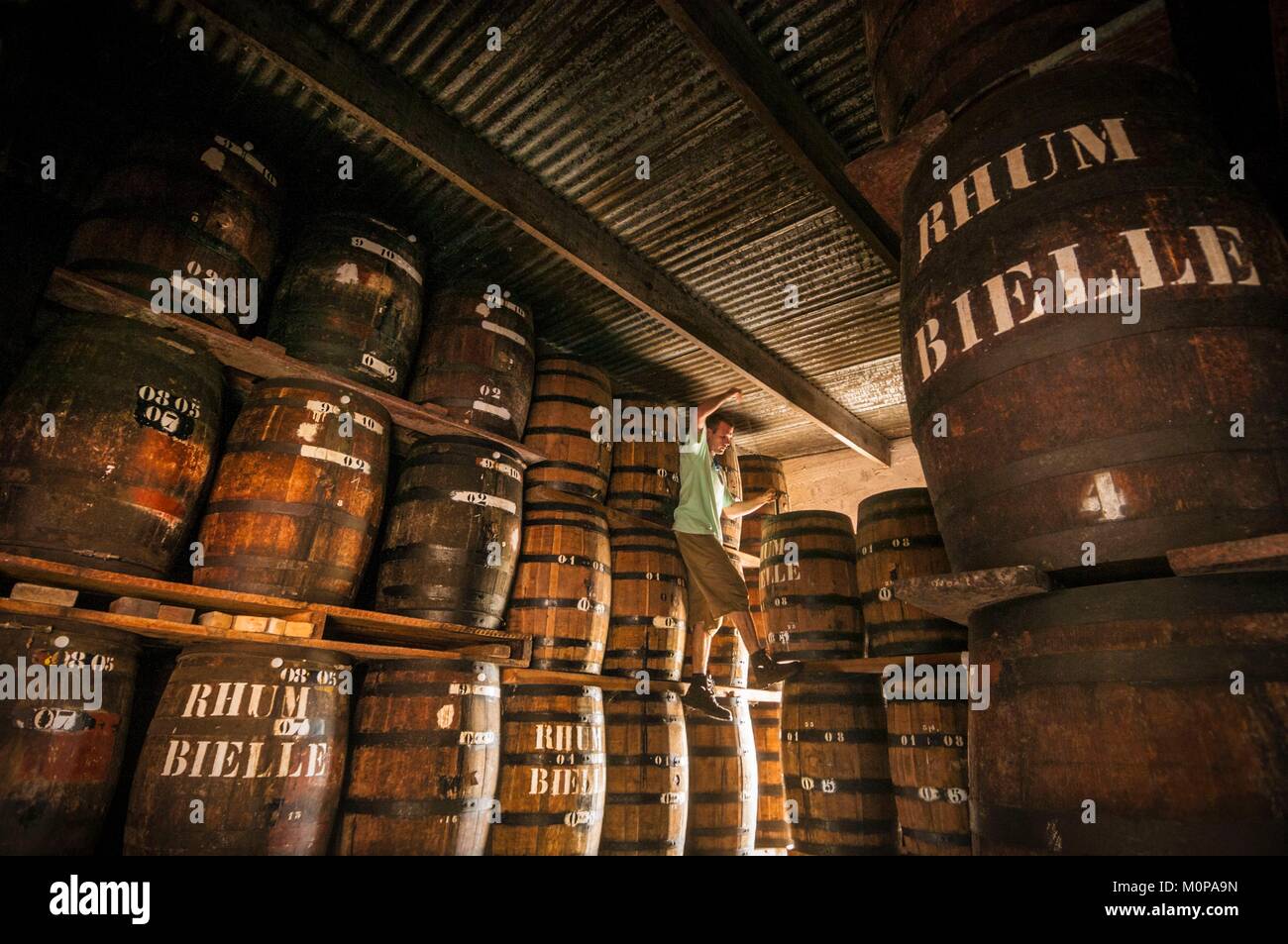 France,Caribbean,Lesser Antilles,Guadeloupe,Marie-Galante,Grand Bourg,Distillery of agricultural rums Bielle,the manager of exploitation Jérôme THIERY controls the aging of rum in oak barrels in its cellars Stock Photo