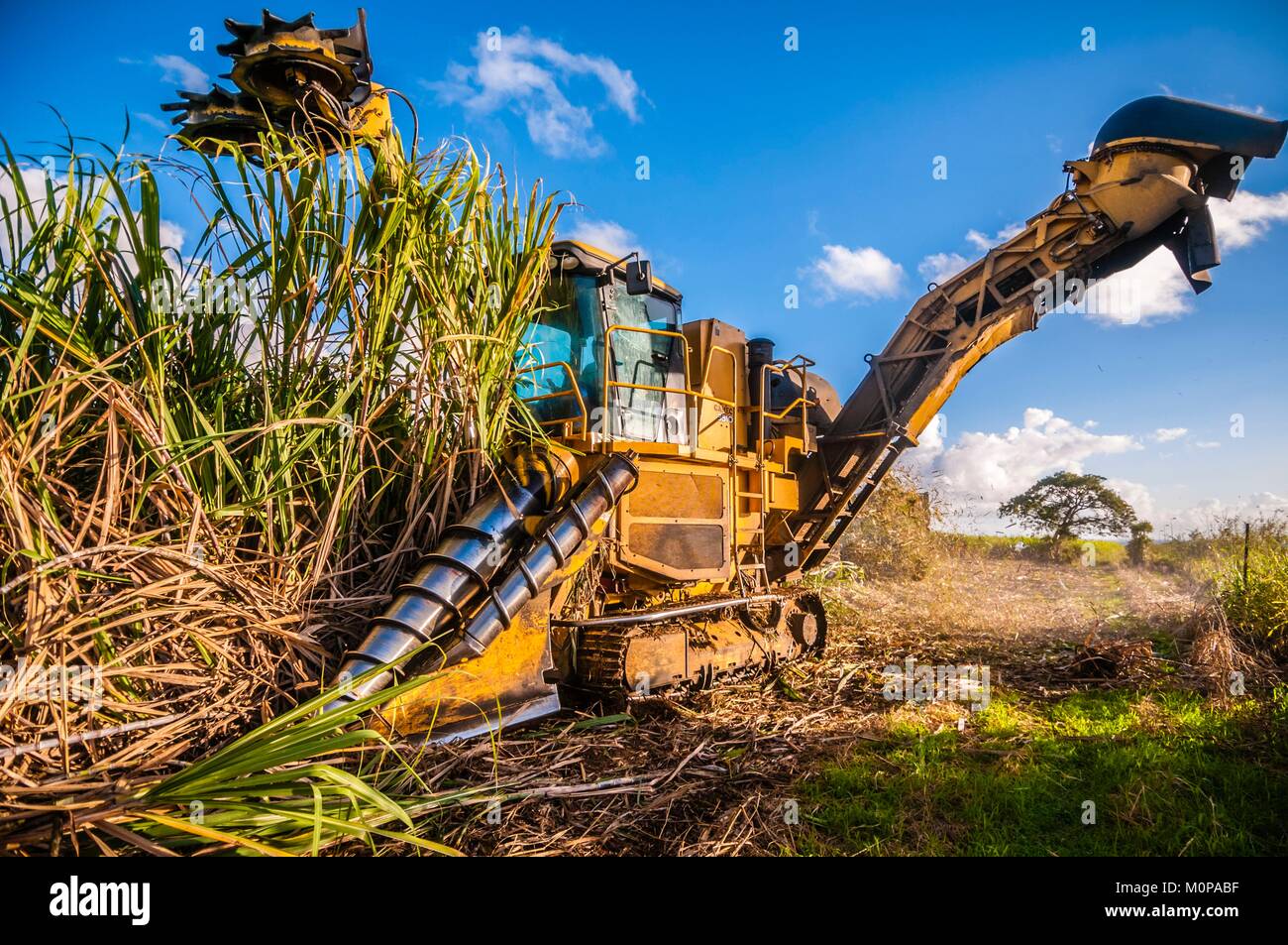 Rum distillery bologne guadeloupe hires stock photography and images