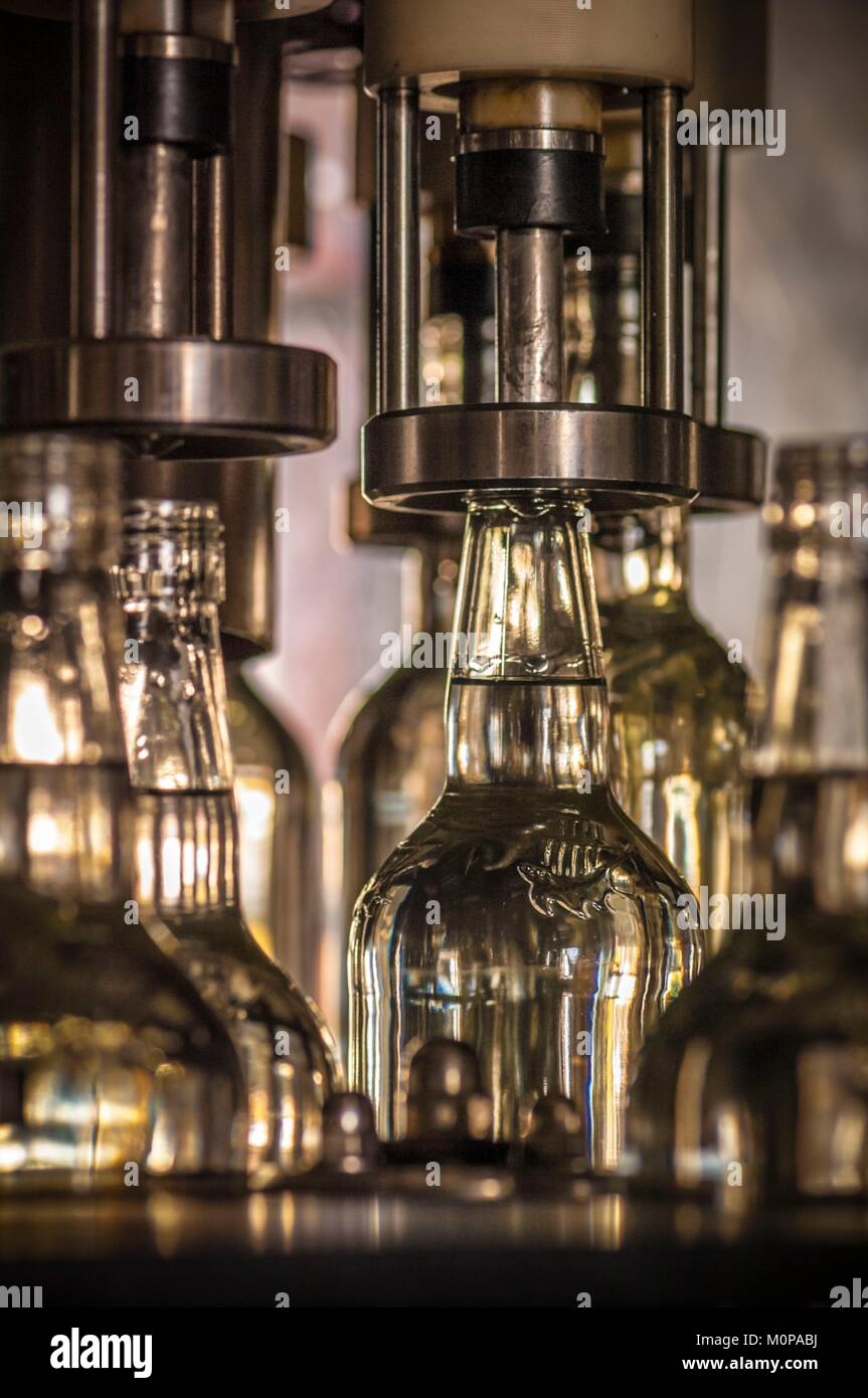 France,Caribbean,Lesser Antilles,Guadeloupe,BasseTerre,Distillery of