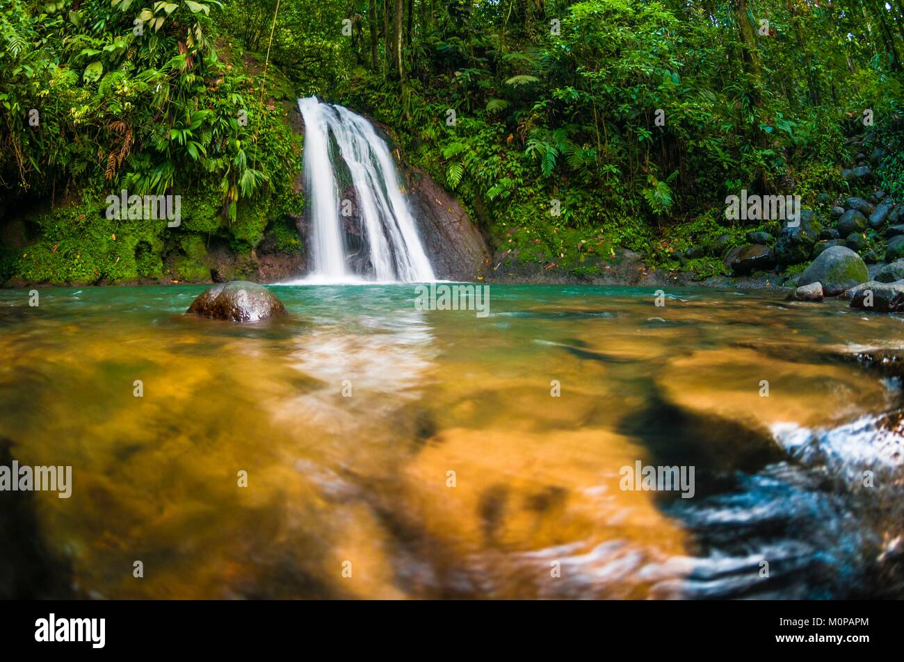 France,Caribbean,French West Indies,Guadeloupe,Basse-Terre,Petit-Bourg,Guadeloupe National Park,the Cascade aux Écrevisses (Crayfish Waterfall) and its basin Stock Photo