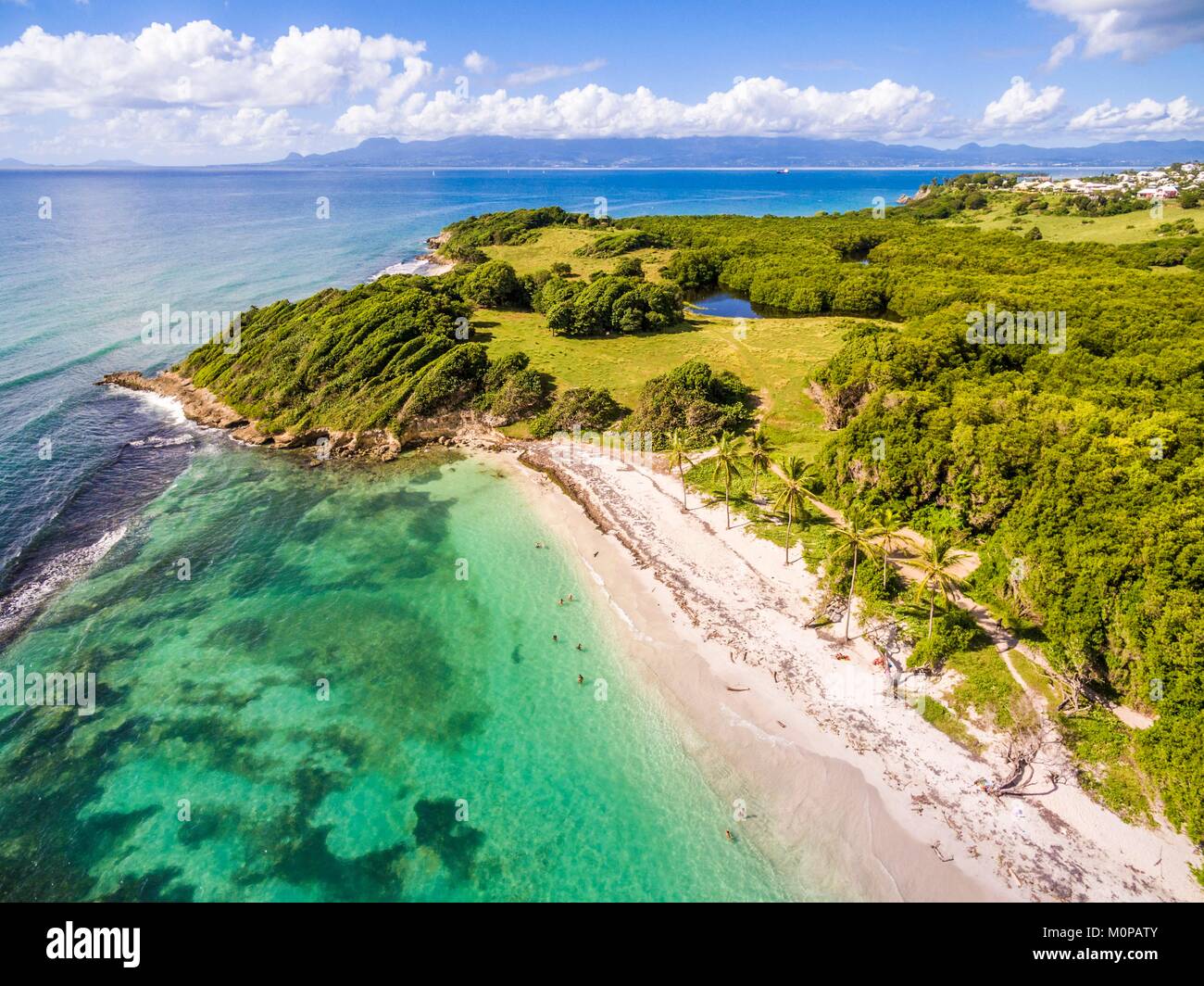 France,Caribbean,Lesser Antilles,Guadeloupe,Grande-Terre,Le Gosier,aerial view on the beach of Saint Félix,mangrove in the background (aerial view) Stock Photo