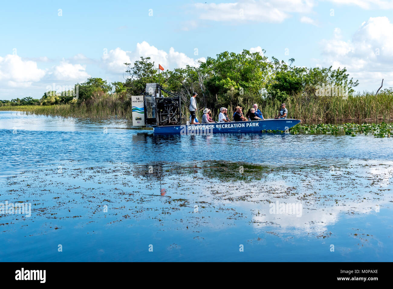 Tourists on airboat in Florida Everglades at Sawgrass Recreation Park, small airboat slowly glides beside grassy island with trees on Everglades tour Stock Photo