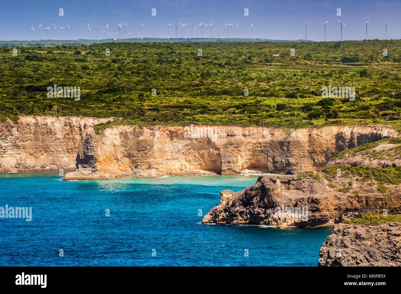 France,Caribbean,Lesser Antilles,Guadeloupe,GrandeTerre,AnseBertrand