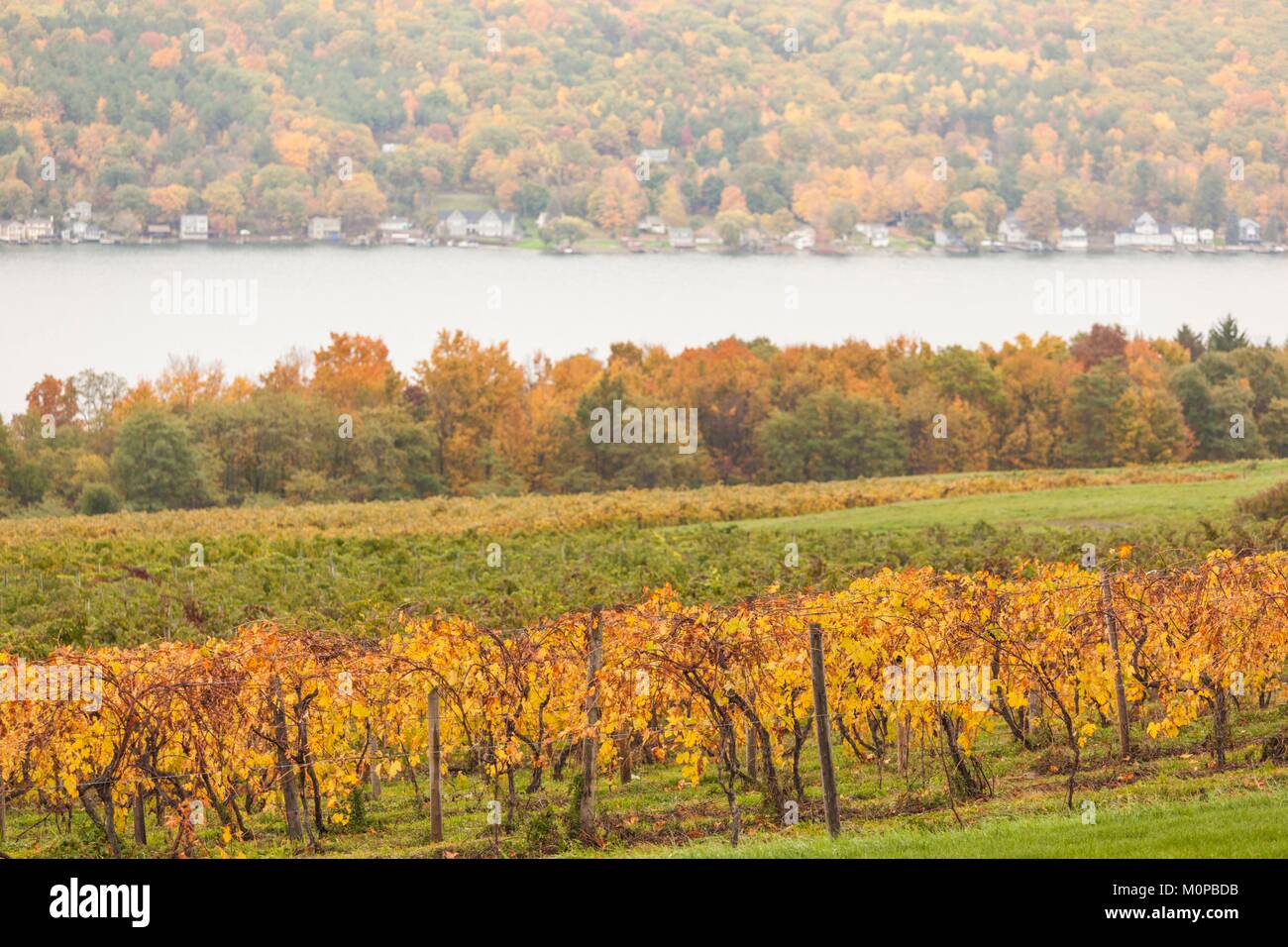 United States,New York,Finger Lakes Region,Hammondsport,Keuka Lake