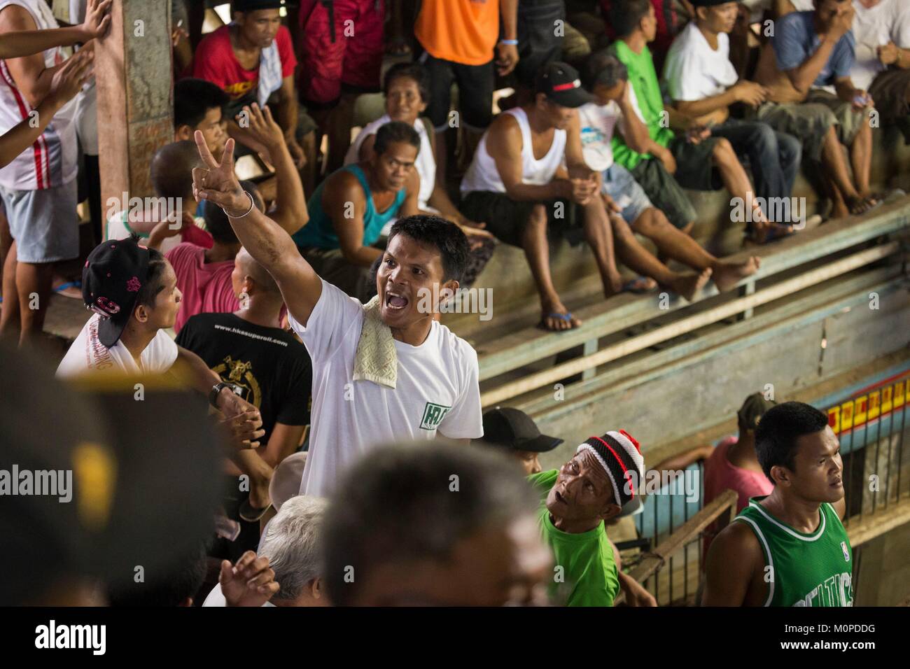 Philippines,Luzon,Bicol,Tagaon,cock fighting arena Stock Photo - Alamy