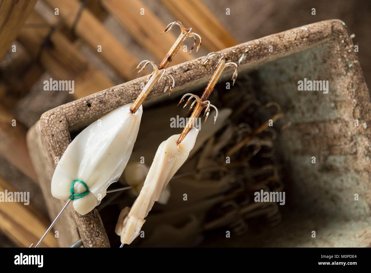 Philippines,Luzon,Albay Province,Tiwi,fish hooks Stock Photo