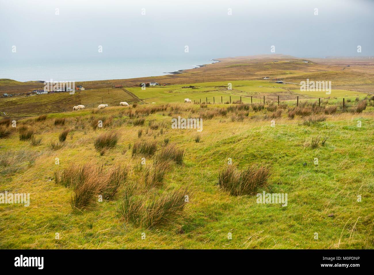 United Kingdom,Scotland,Highlands,Inner Hebrides,Isle of Skye