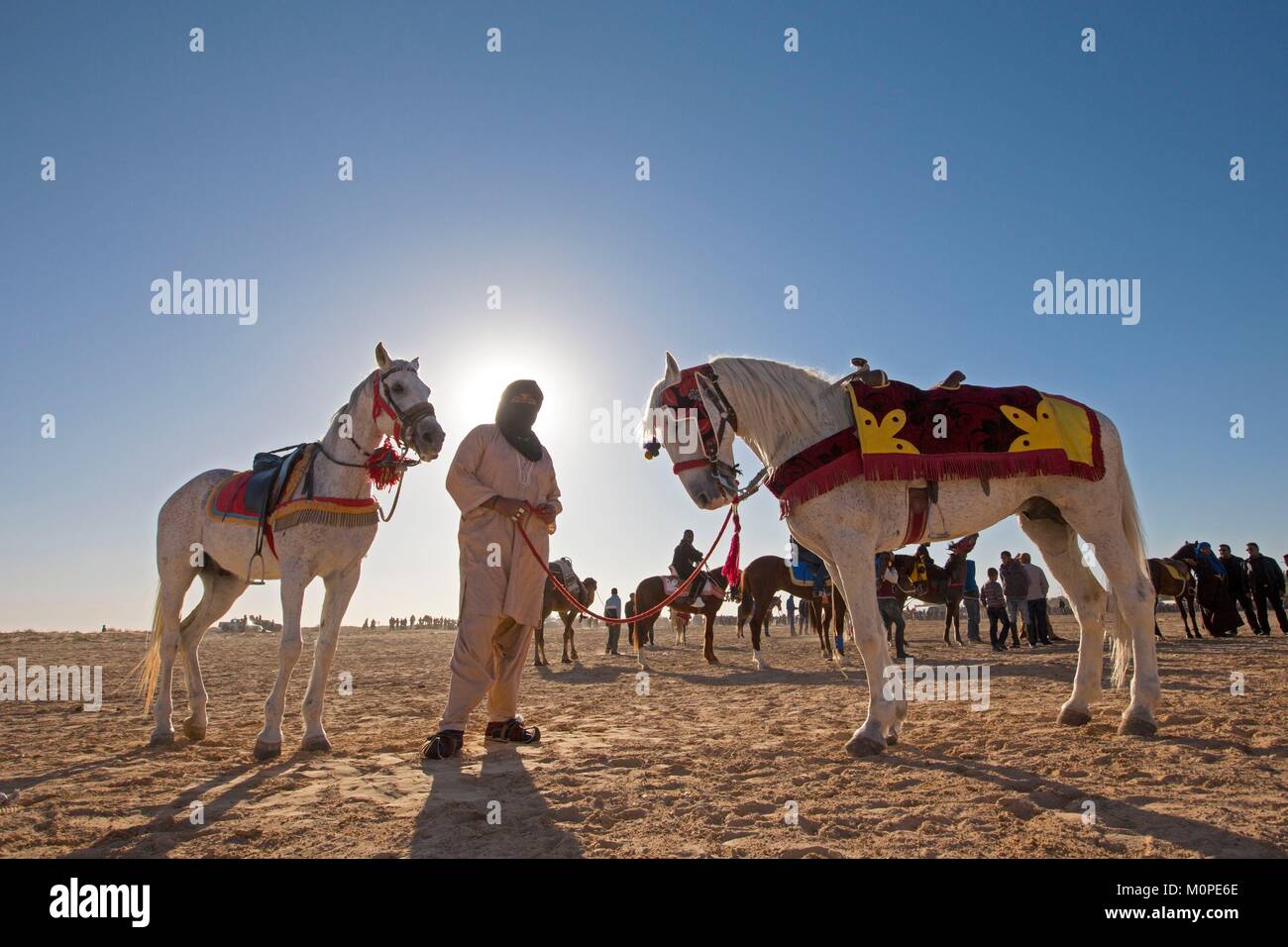 Tunisia,Douz,Sahara,international festival of the Sahara in Douz,traditional equestrian shows fantasia Stock Photo