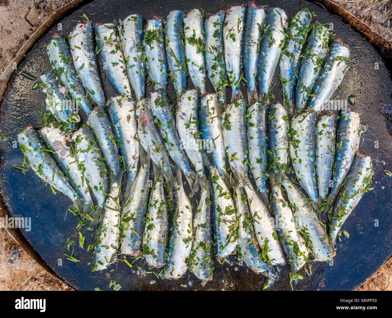 France,Charente Maritime,Oleron island,grilled sardines (Sardina pilchardus) Stock Photo