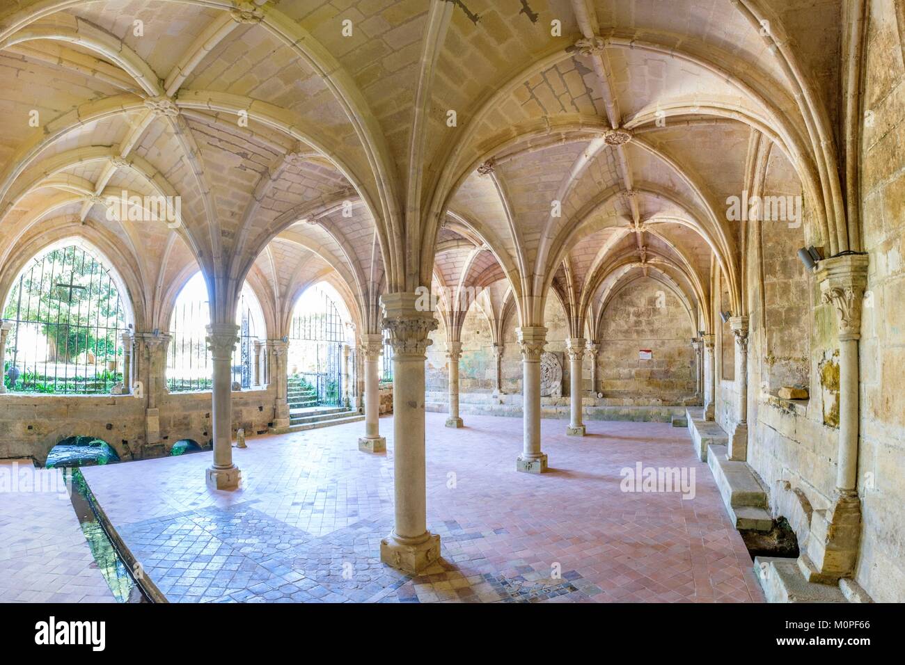 France,Charente Maritime,Saint Bris des Bois,Abbey of Fontdouce,chapter house of the 13th century,Saintonges Stock Photo