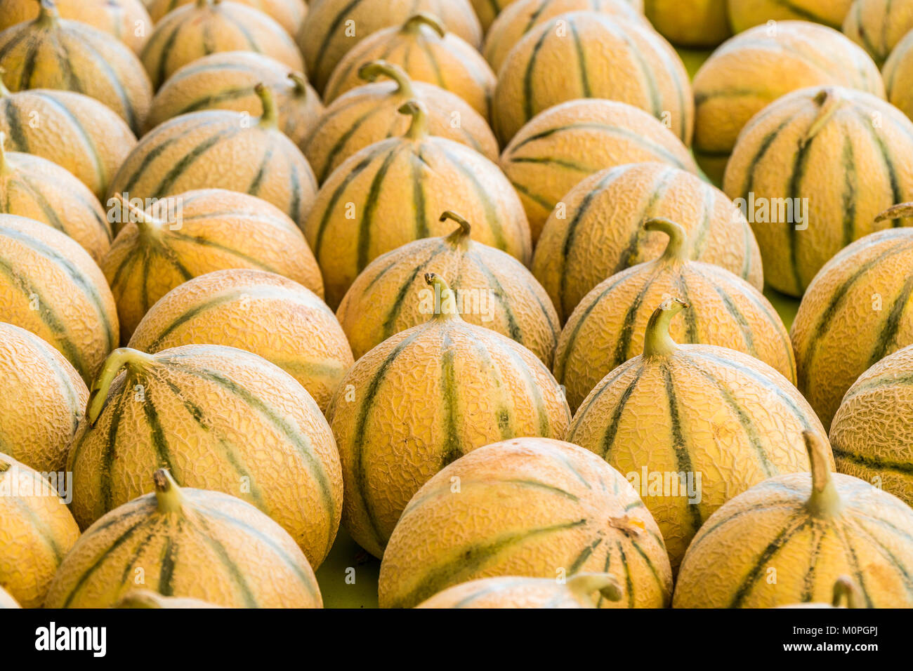 Ripe cantaloupe melons. Food background Stock Photo Alamy