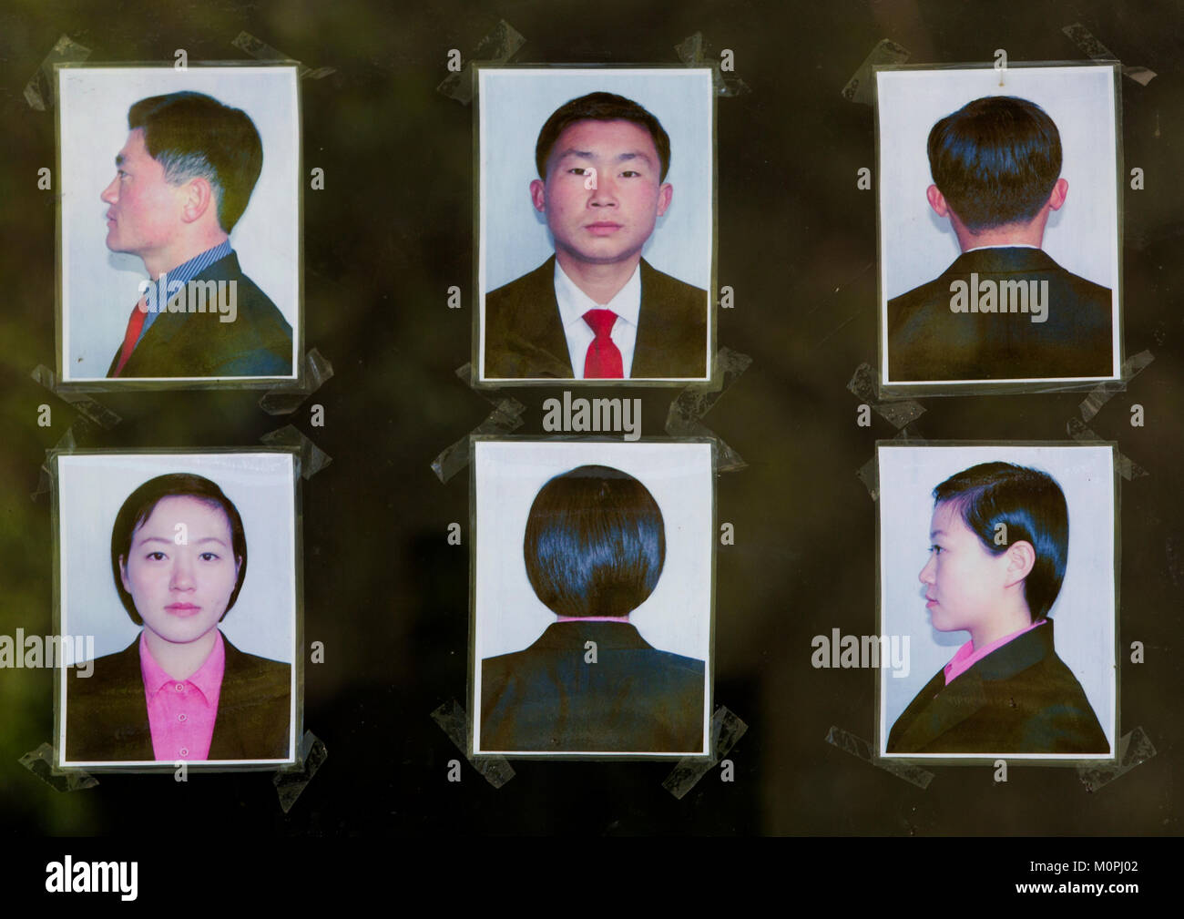 Poster Depicting The Hairstyles Allowed In The Agriculture Stock