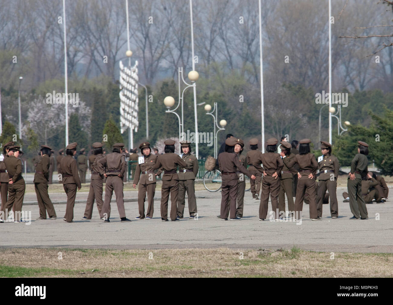 Women soldiers exercising hi-res stock photography and images - Alamy
