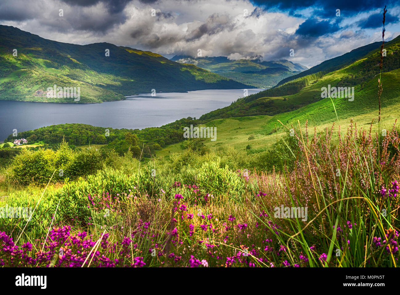 '...Where the sun shines bright on Ben Lomond.'  This shot of Loch Lomond was taken from the lower slopes of Ben Lomond, while climbing up from Roward Stock Photo