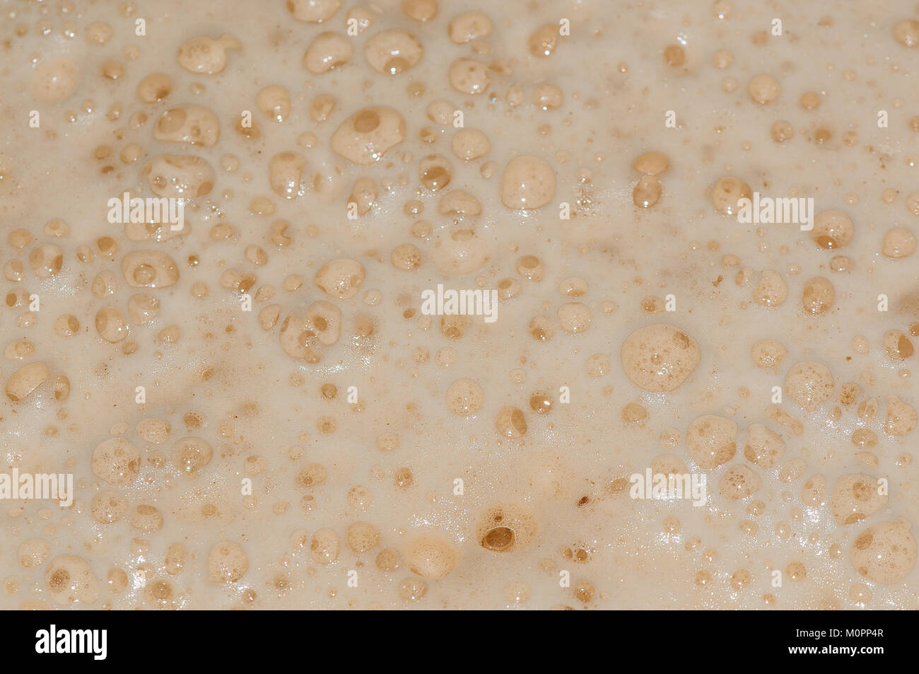 close-up view beer foam with bubbles Stock Photo