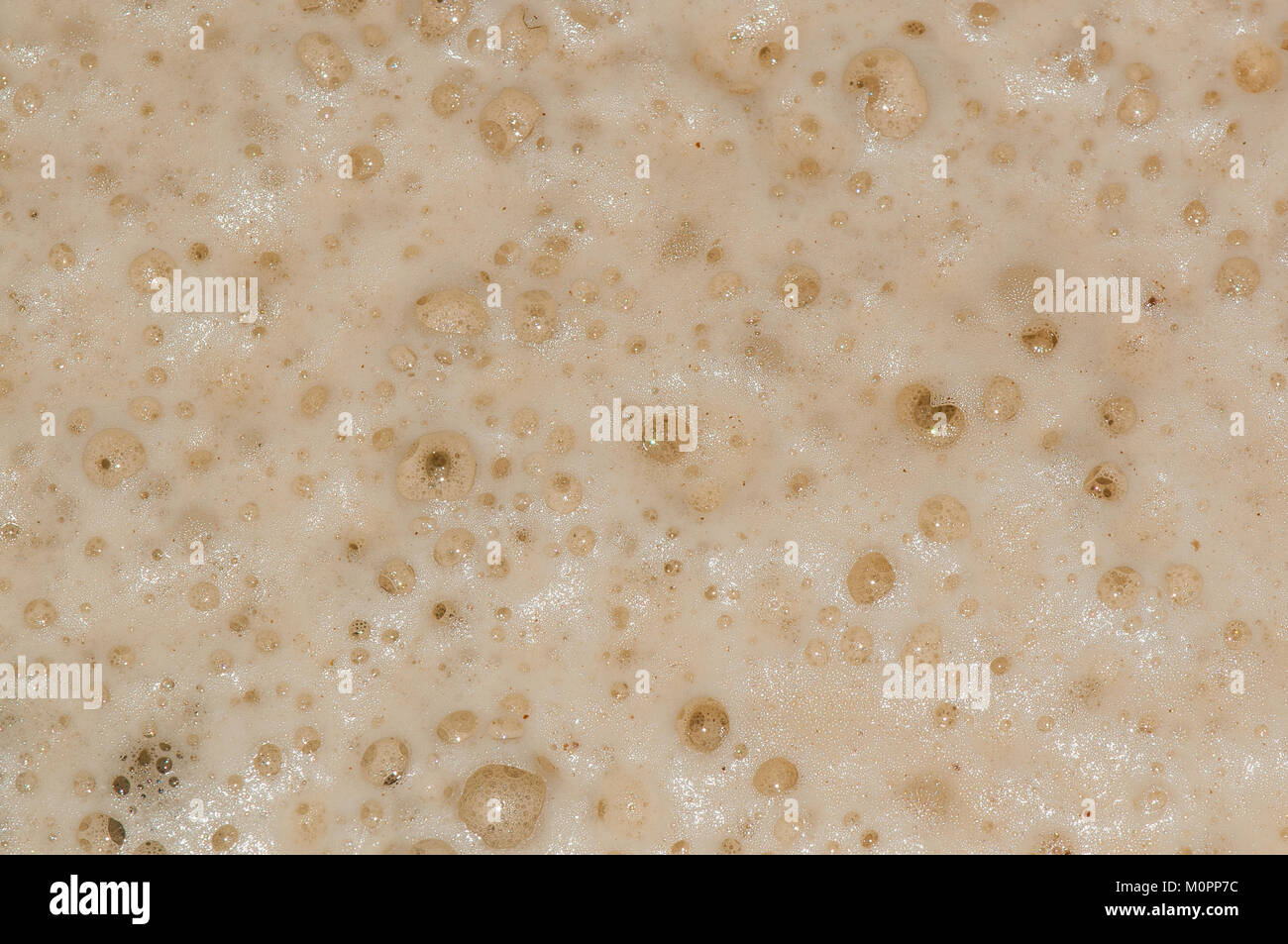 close-up view beer foam with bubbles Stock Photo