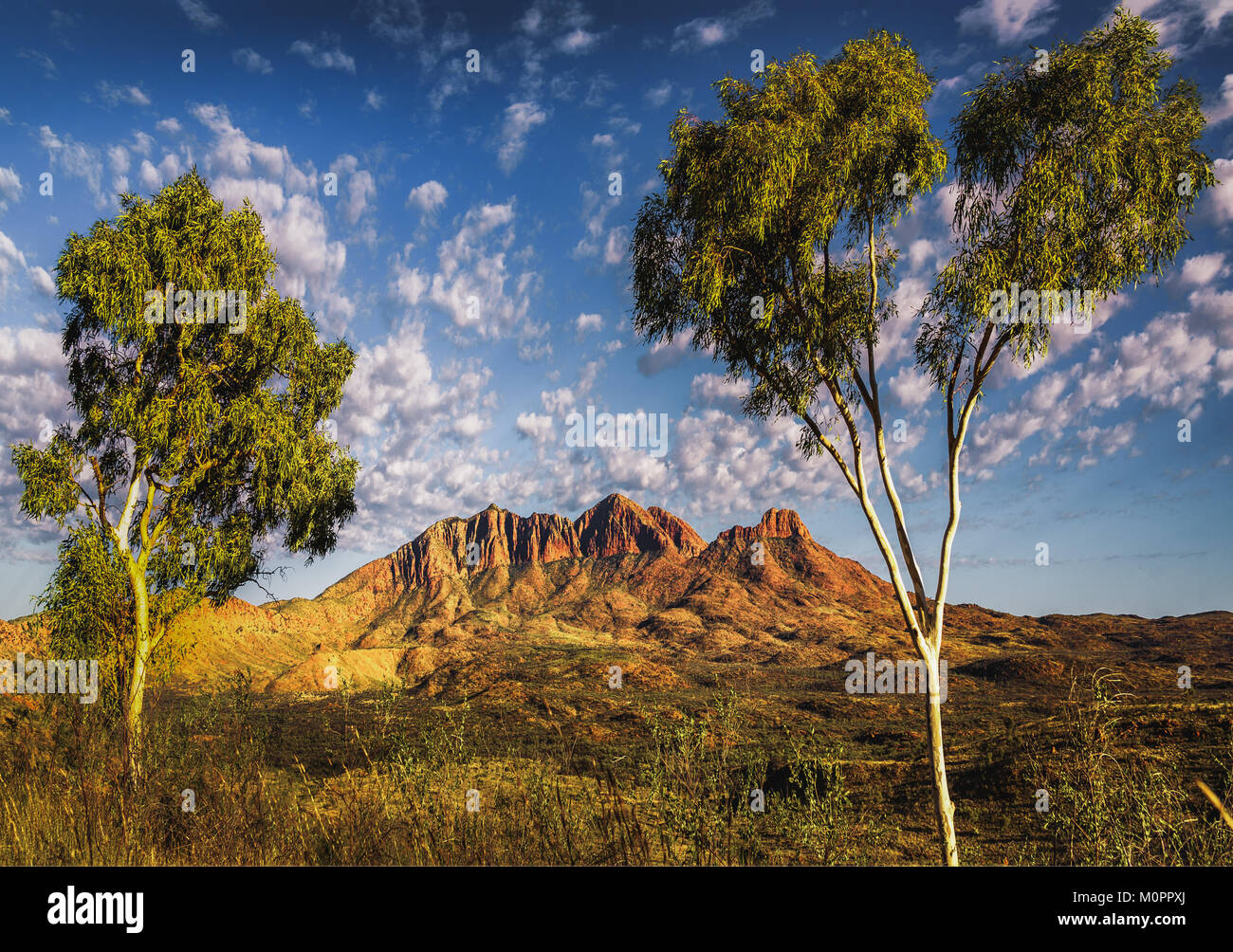 Mt. Sonder from Hilltop Lookout at Sunrise. West Macdonnell Ranges, Northern Territory Stock Photo