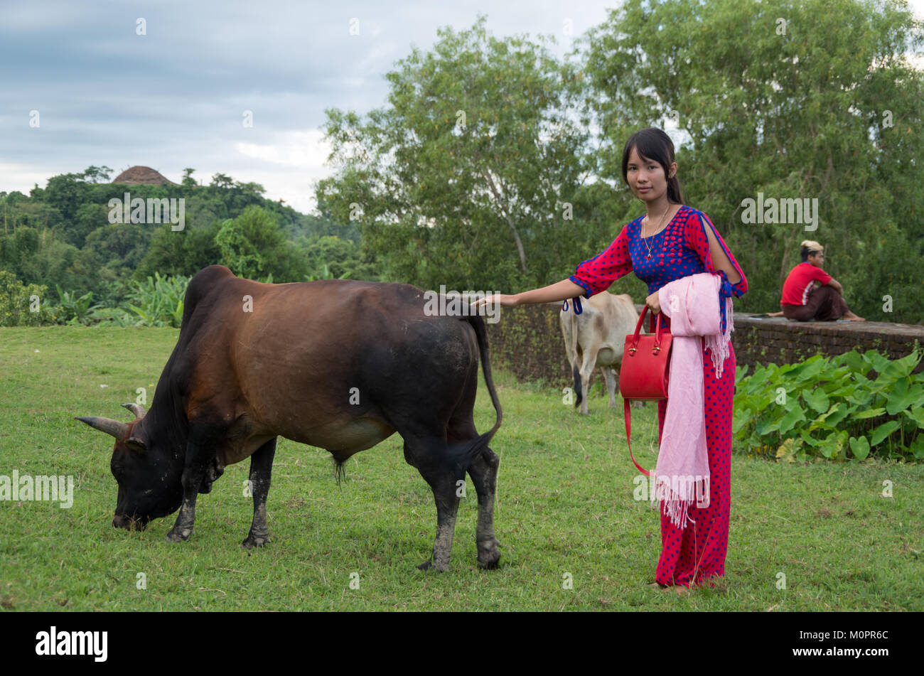 A young, pretty and local woman poses together with a strong bull on a field at an ancient temple in Mrauk U, Rakhine State, Myanmar Stock Photo