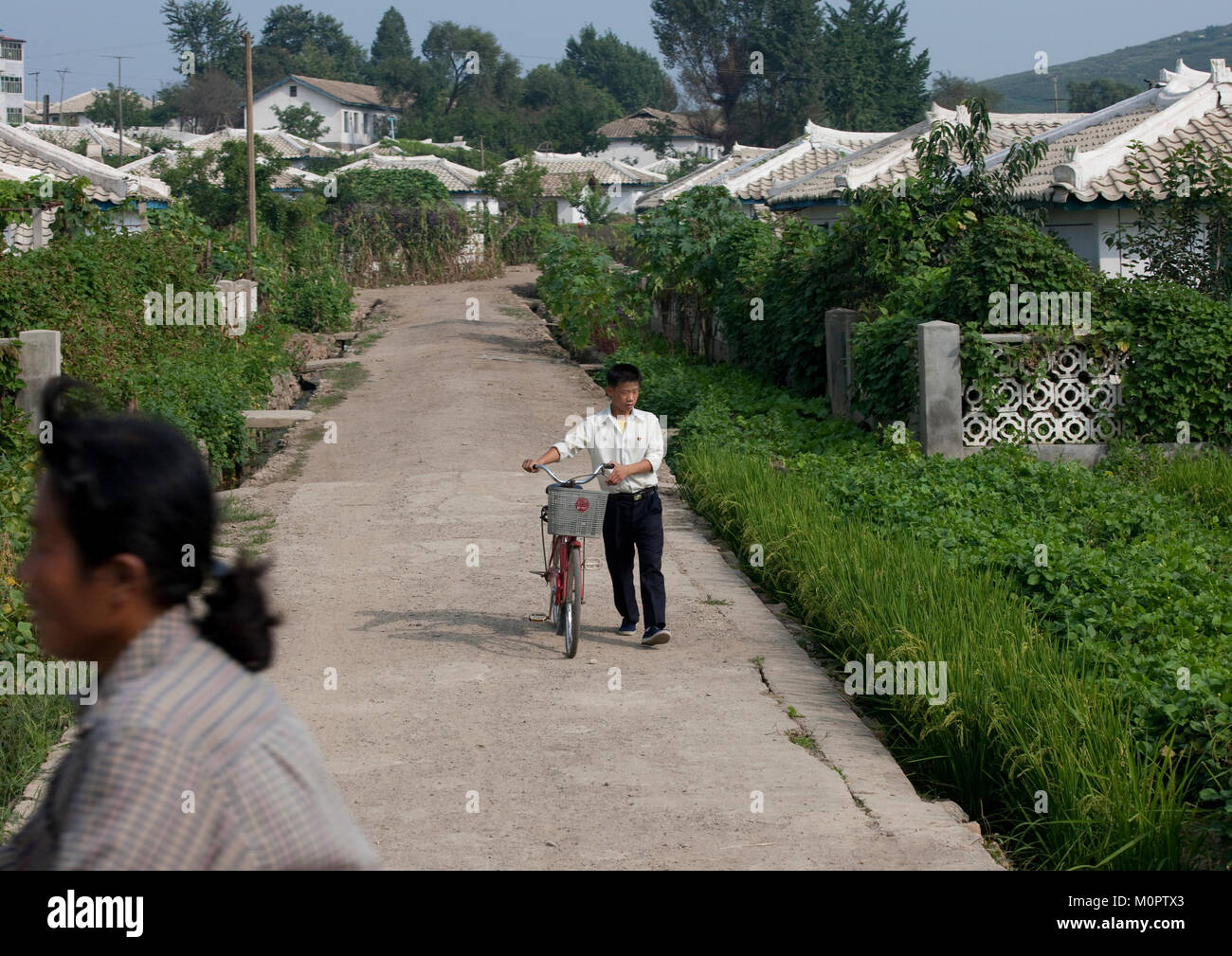 Korean Rural Man North Korean man with a bicycle in the countryside, Kangwon Province ...