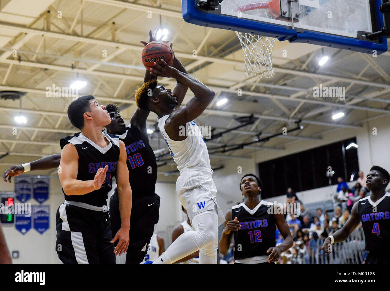 Wellington, Florida, USA. 23rd Jan, 2018. Wellington forward Texan